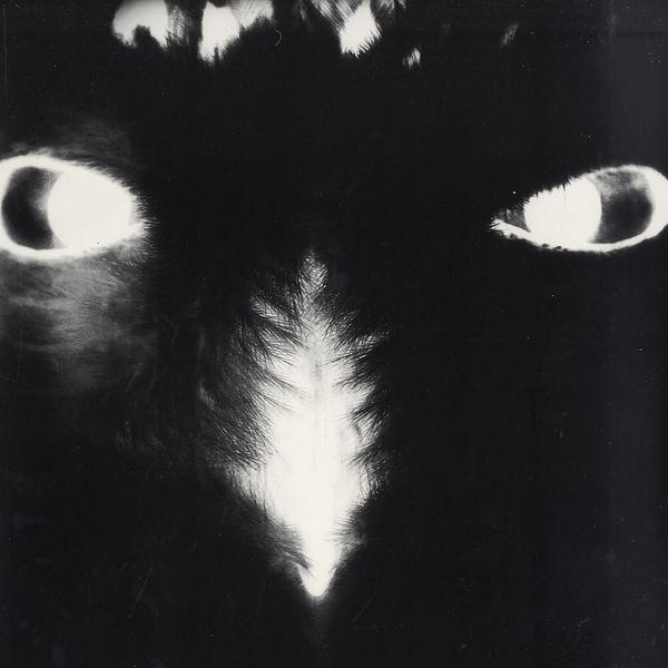Alejandro Mosso - Ulanbator / Altiplano