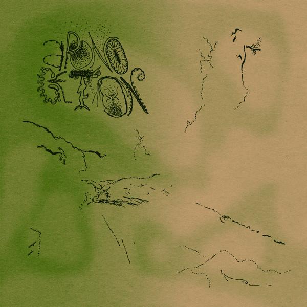 Aponogeton - A Place Of Solace