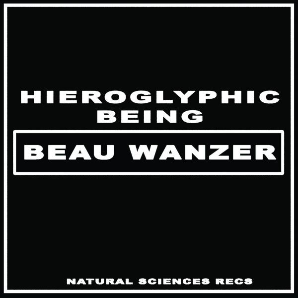 Beau Wanzer, Hieroglyphic Being - 4 Dysfunctional Psychotic Release & Sonic Reprogramming Purposes Only