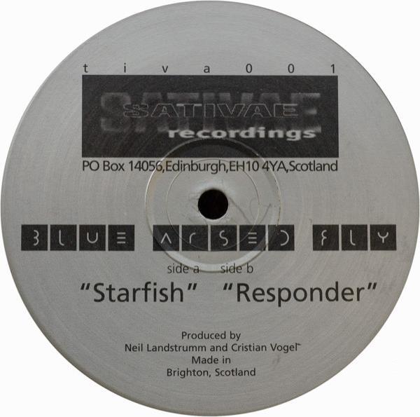 Blue Arsed Fly - Starfish / Responder