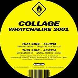 Collage - Whatchalike 2001