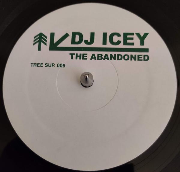 DJ Icey - The Abandoned