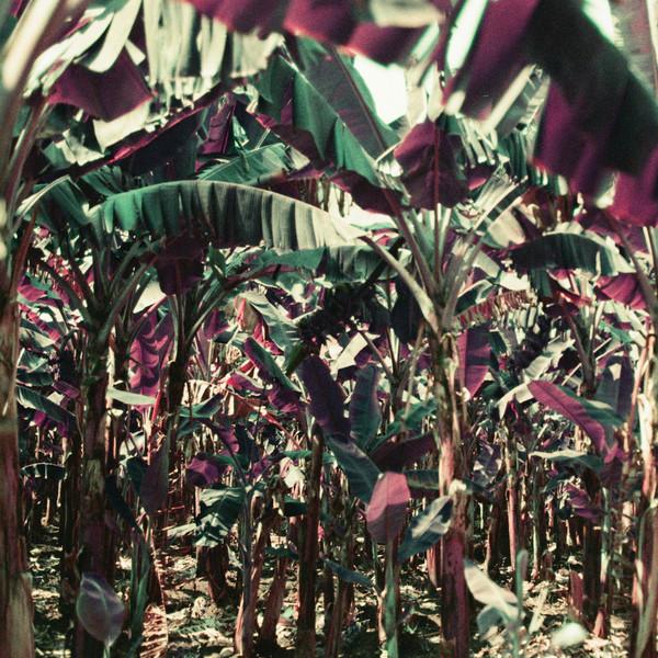 Dampé - Peach Shuffle EP