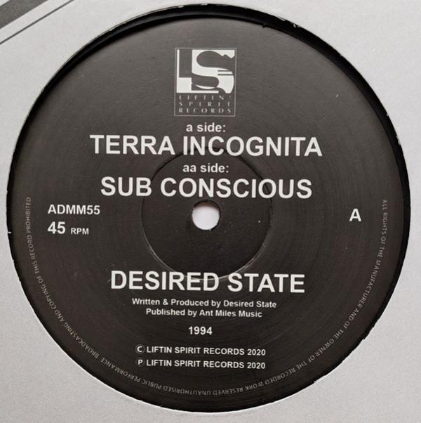 Desired State - Terra Incognita / Sub Conscious
