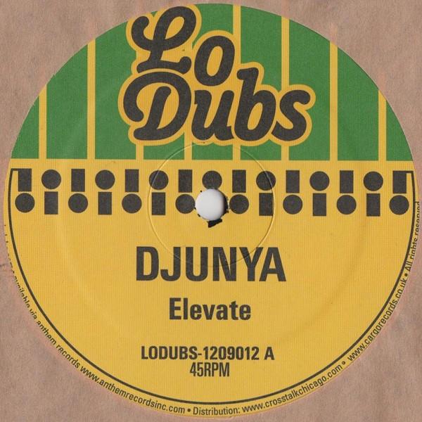 Djunya - Elevate