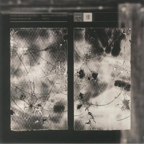 Dogger (3), Mindstate (2) - Broken Home (Calibre Remix) / TMWFTE