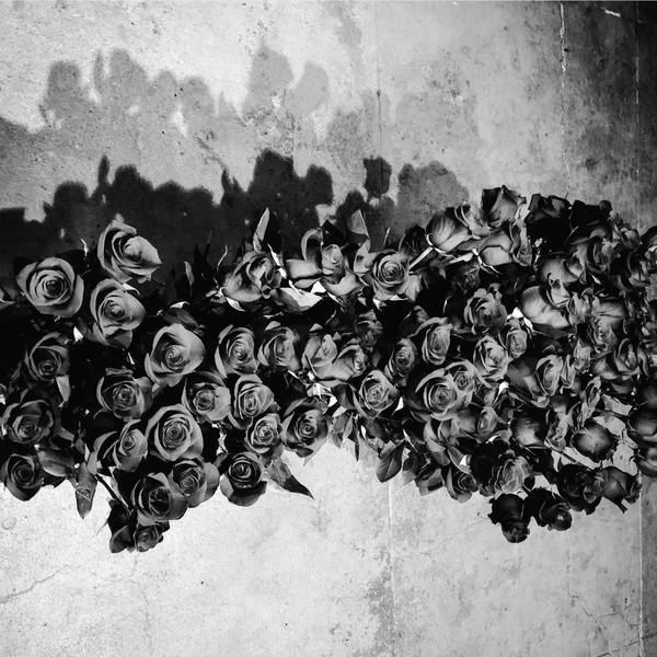 Dona (7) - Mindscapes