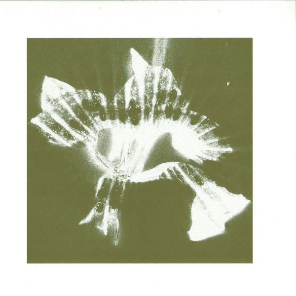 Hazylujah - 100% EP