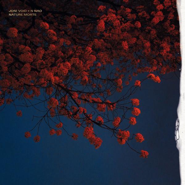 Joni Void, N NAO - Nature Morte