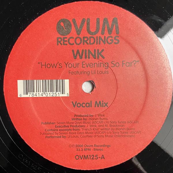 Josh Wink, Lil' Louis - How's Your Evening So Far?