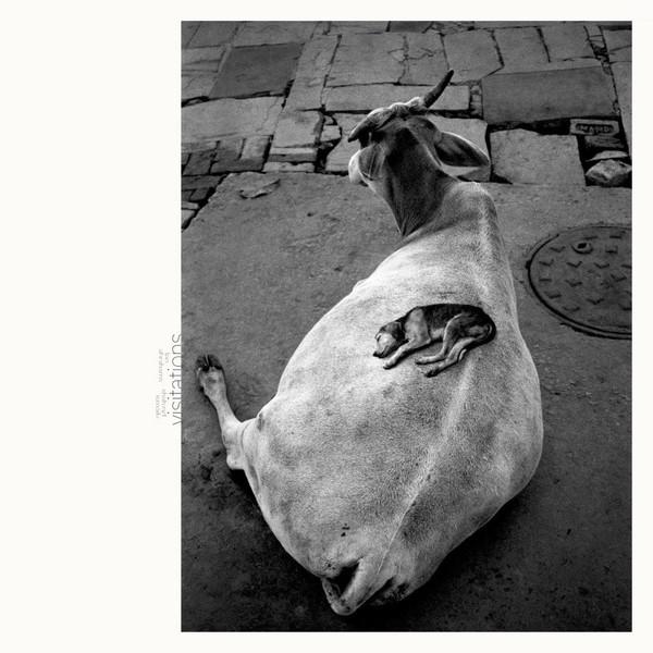 Leo Abrahams, Shahzad Ismaily - Visitations