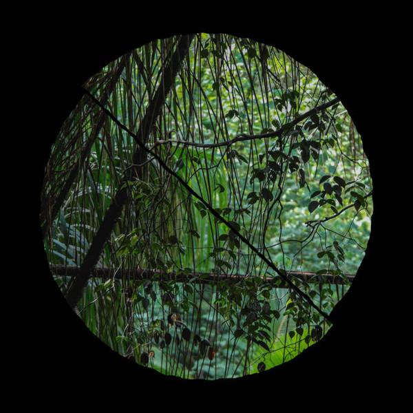 Llyr (4) - Biome