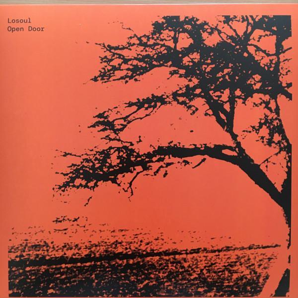 LoSoul - Open Door