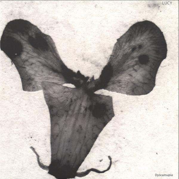 Lucy (12) - Dyscamupia