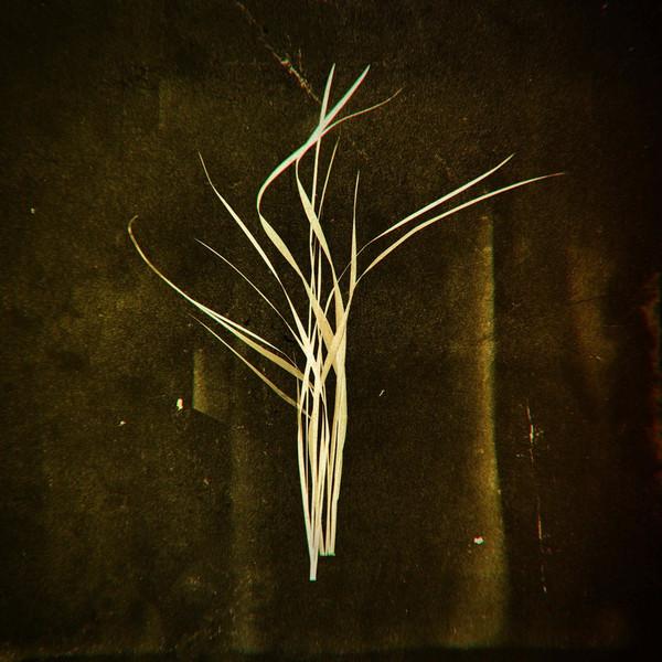 Lumisokea - Mnemosyne