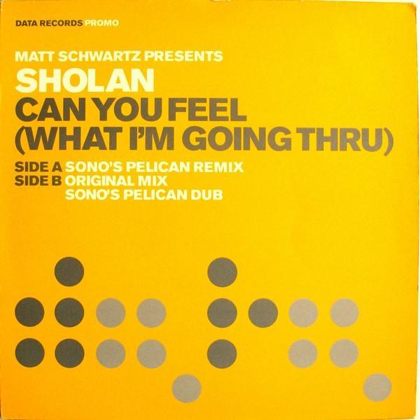 Matt Schwartz, Sholan - Can You Feel (What I'm Going Thru)