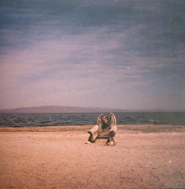 Minimal Violence - Acid Lakes