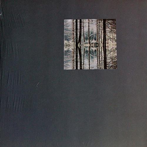 Modeste - Absurd Memories