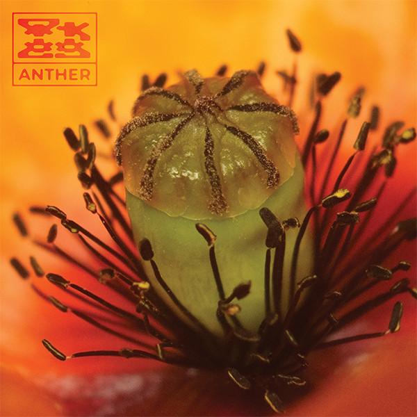 OK EG - Anther