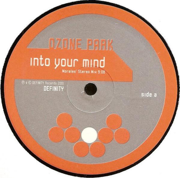 Ozone Park - Into Your Mind / D Journey