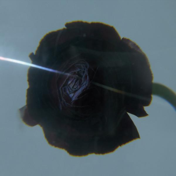 Pablo's Eye - Dark Matter