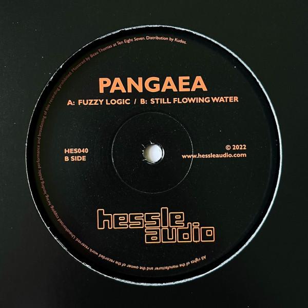 Pangaea (4) - Fuzzy Logic / Still Flowing Water