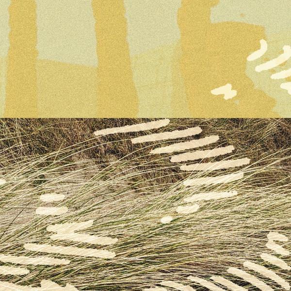 Parris (2) - Terrapin EP