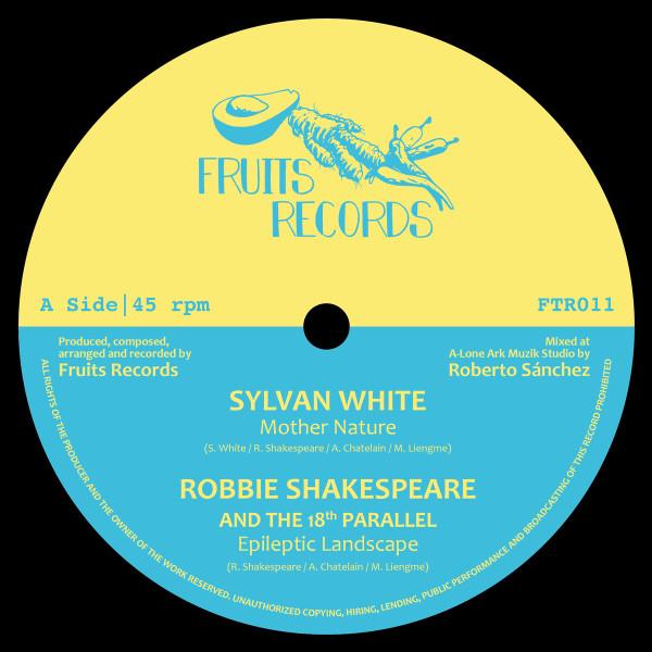Robbie Shakespeare, Delroy Melody, Sylvan White, Earth Warrior - Magnetic Buzz Riddim