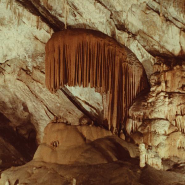 SabaSaba - SabaSaba