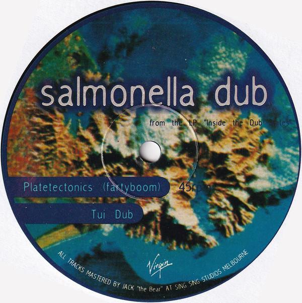 Salmonella Dub - Inside The Dub Plates EP