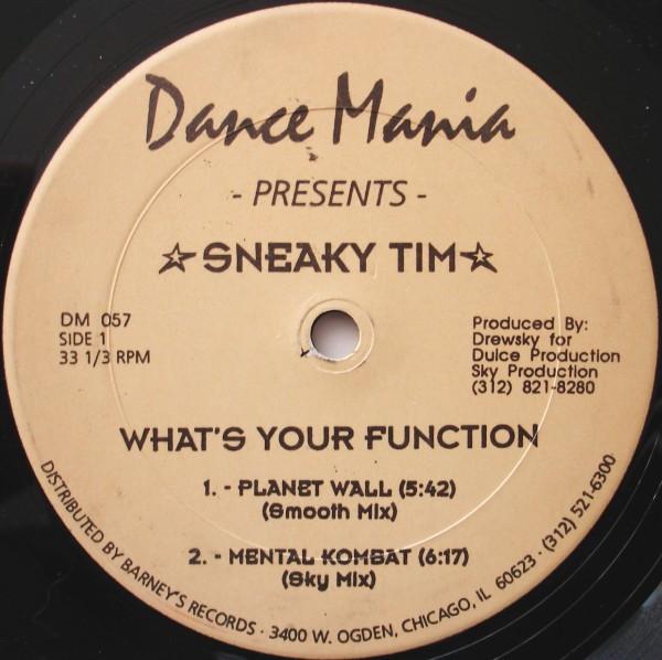 Sneaky Tim - What's Your Function