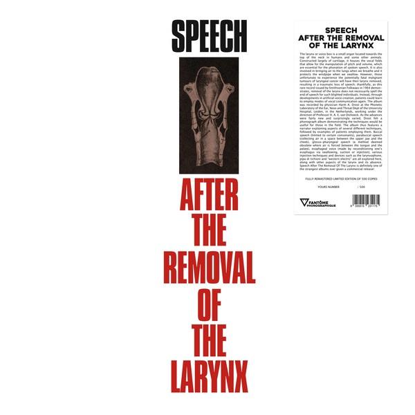  - Speech After The Removal Of The Larynx