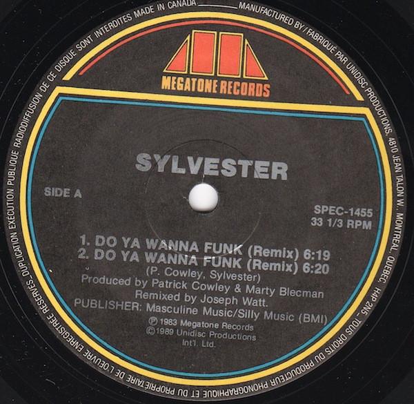Sylvester - Do Ya Wanna Funk (Remix)