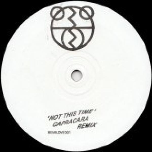 The 2 Bears - Not This Time (Capracara Remix)