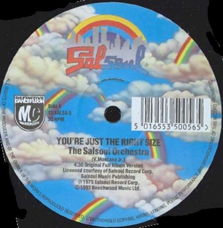 The Salsoul Orchestra - You're Just The Right Size / Runaway