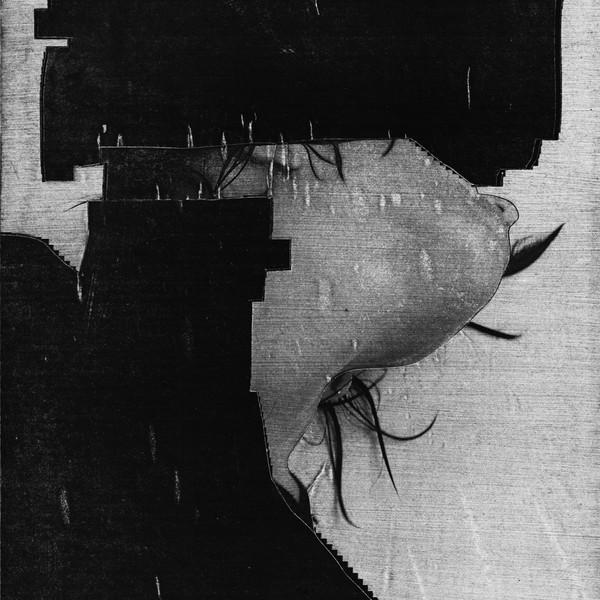 These Hidden Hands, Lucrecia Dalt - These Moments Dismantled