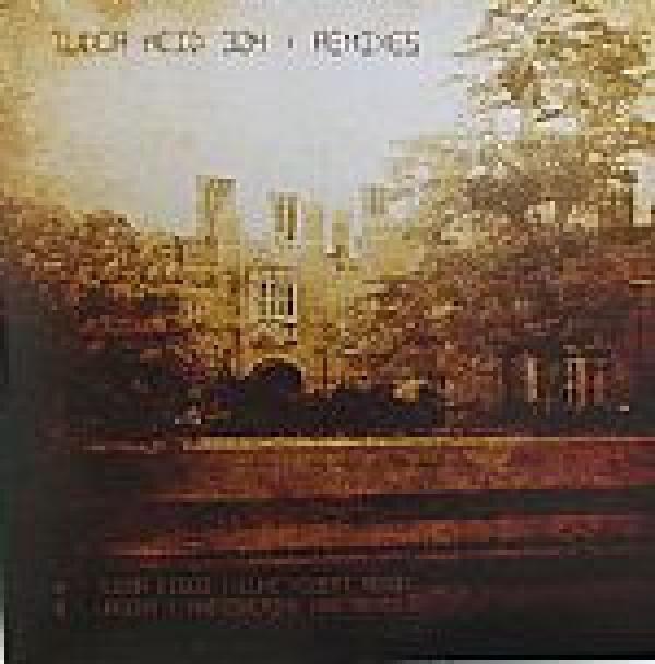 Tudor Acid - Tudor Acid 304: Remixes